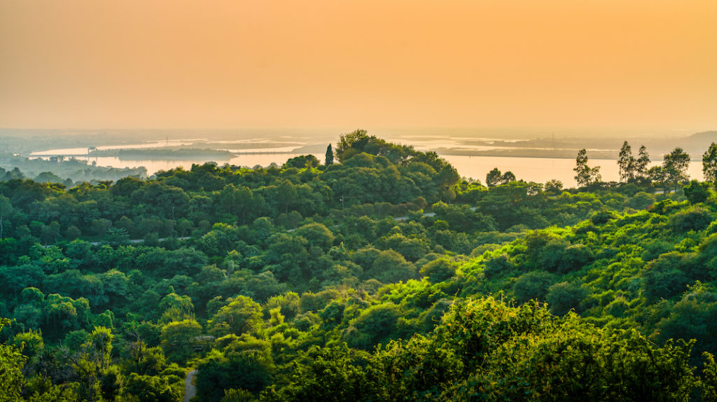 Jungle landscape, dating in Paraguay is a mixture of rural and urban life